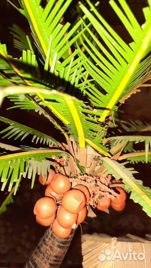 Светильник-ночник