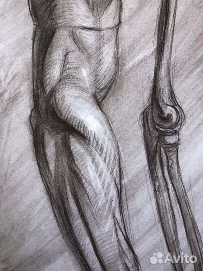 Анатомический рисунок, сепия