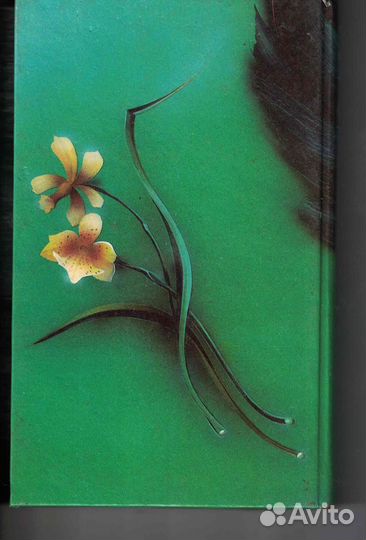 Габриэль В. Рочестер