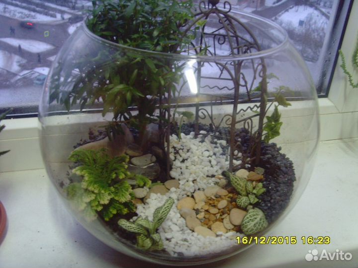 Эко-подарки, флорариумы в Туле