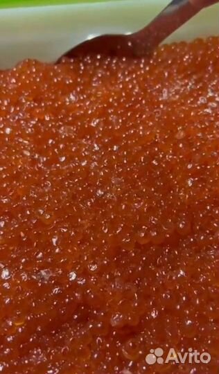 Красная икра оптом