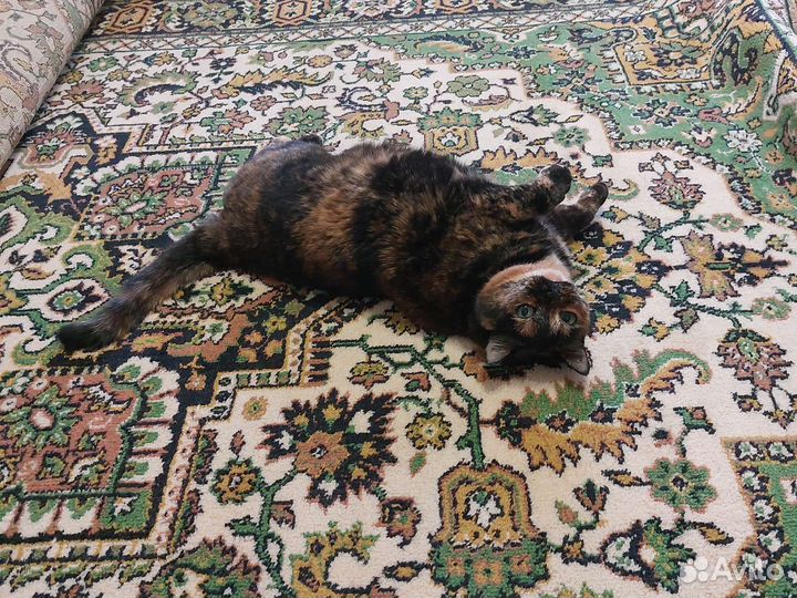 Ковер шерстяной 2х3 м