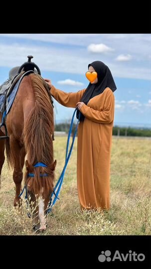 Женская одежда