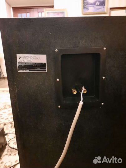 Колонки электроника 75ас 065