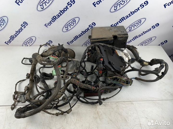 Проводка подкапотная Ford Focus 3 CB8 1.6