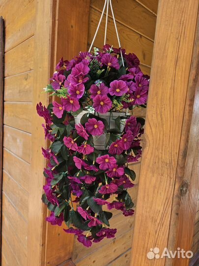 Петуния ампельная в горшке