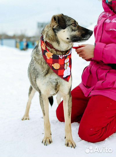 Ярик из приюта надеется на чудо