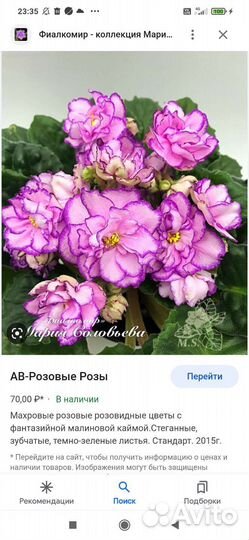 Фиалки
