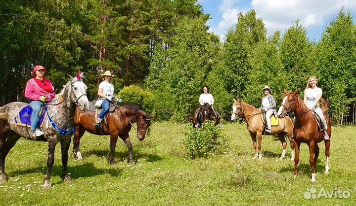 Конный клуб 