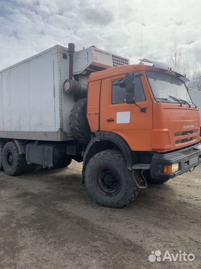 КАМАЗ 43118, 2013