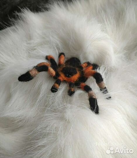 Реалистичный паук