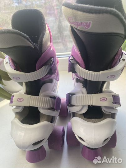 Коньки квадры