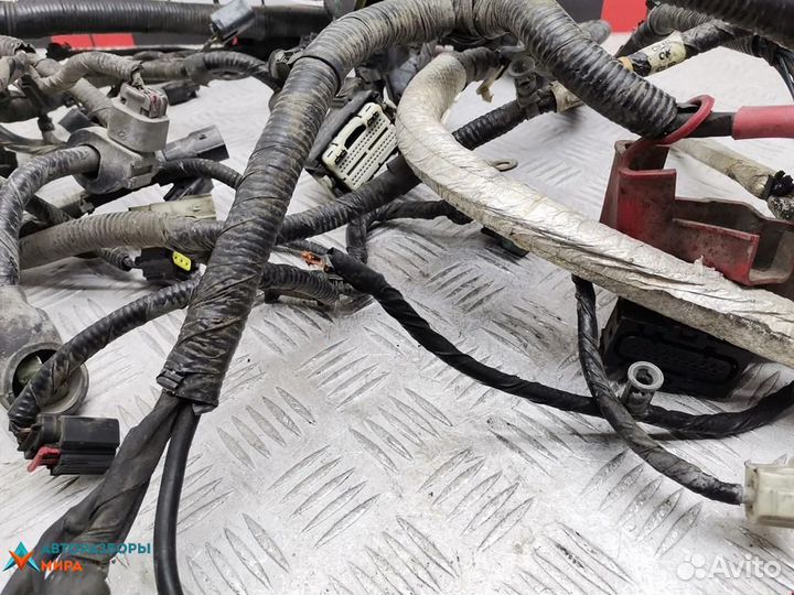 Проводка Ford Fusion 2013 EU5Z12A581C