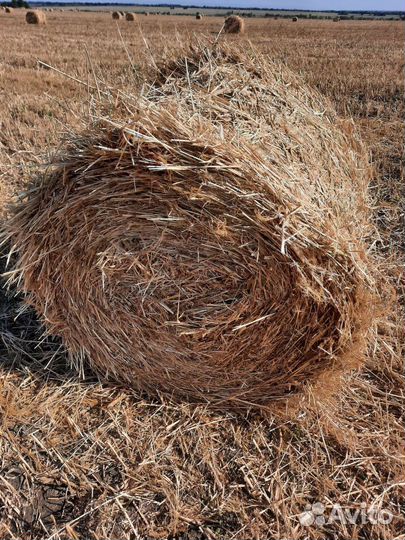 Солом в рулонах