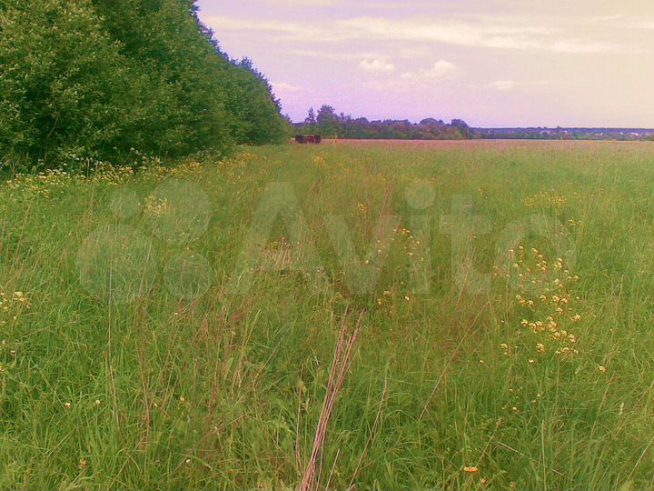 Участок 50 сот. (ИЖС)