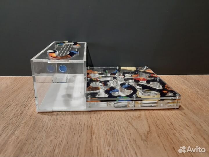 Формикарий для муравьев