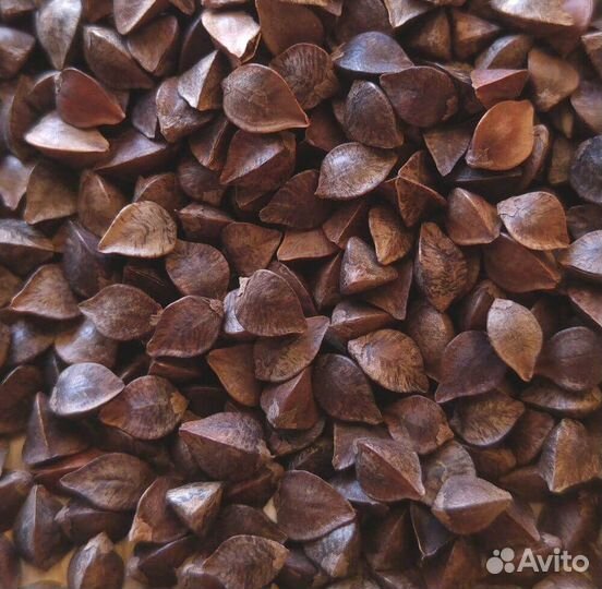 Продам Гречиху