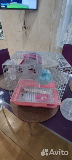 Клетка для хомяка бу