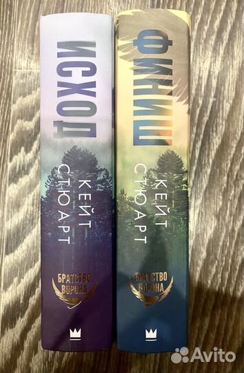 Кейт Стюарт. Книги Исход, Финиш