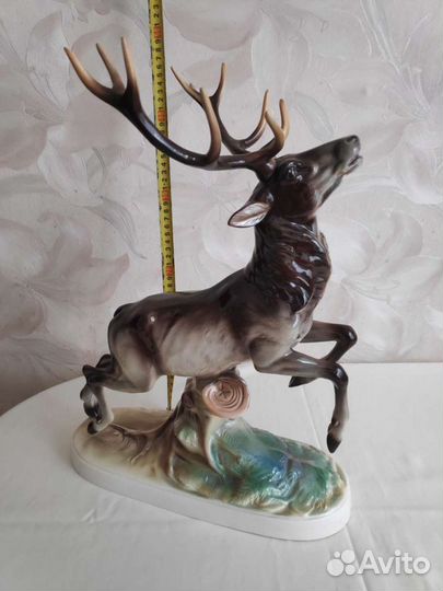 Бегущий олень. Германия Кацхютте