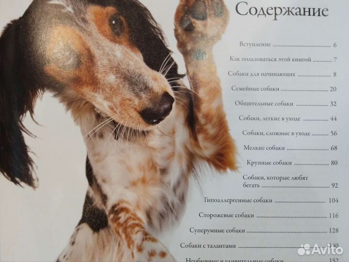 Книги про собак