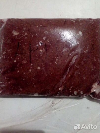 Замороженный корм для аквариумных рыб