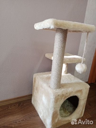 Когтеточка