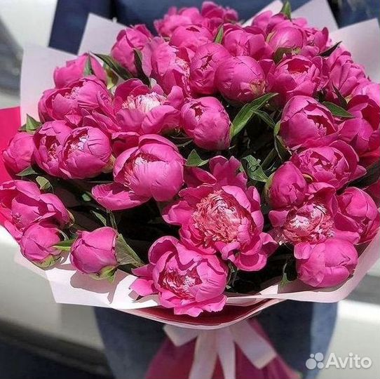 Пионы Цветы Доставка