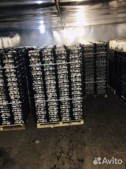 Доставка продуктов