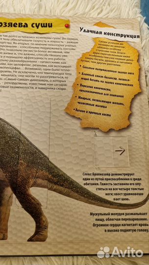 Книга динозавры.Короли Мезозоя