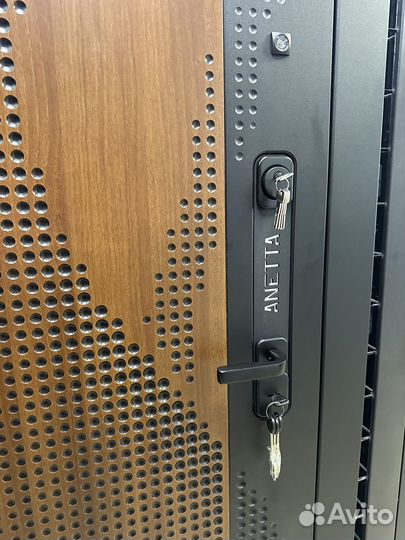 Дверь входная Анетта