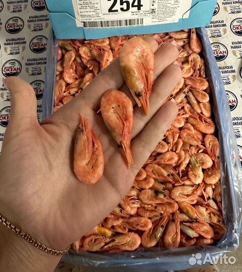 Рыба и морепродукты