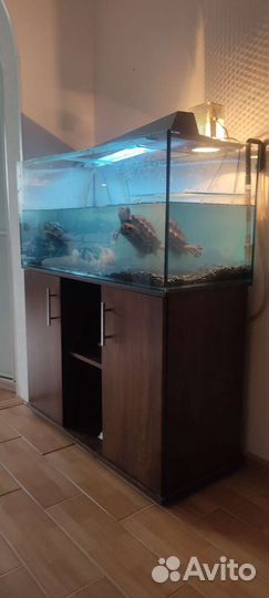 Аквариум 200л с тумбой и фильтром