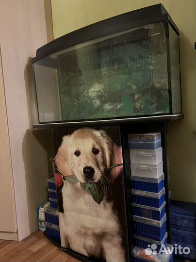 Аквариум с тумбой большой черный