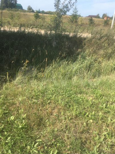 Участок 8,4 га (СНТ, ДНП)