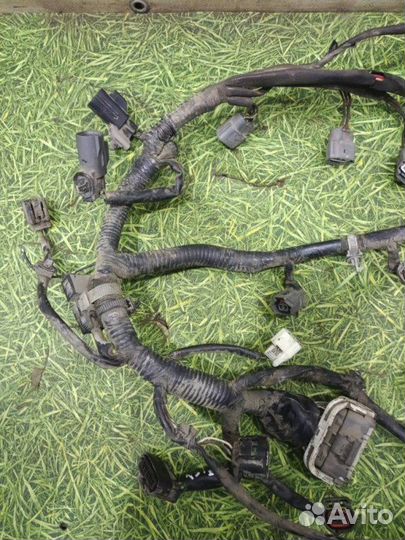Проводка двигателя Mazda 3 Bk хэтчбек 1.6 Z6 2007