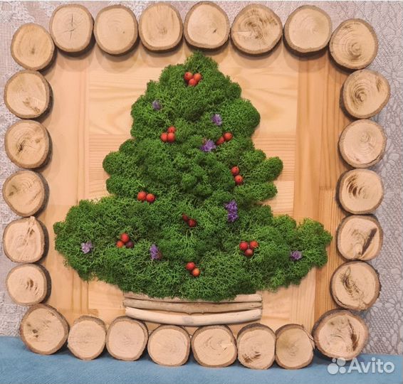 Эко картины из мха и других природных материалов