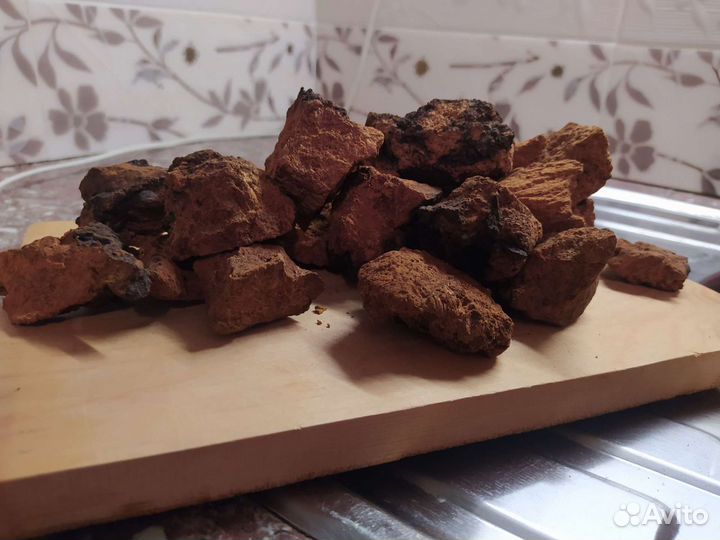 Березовый гриб чага