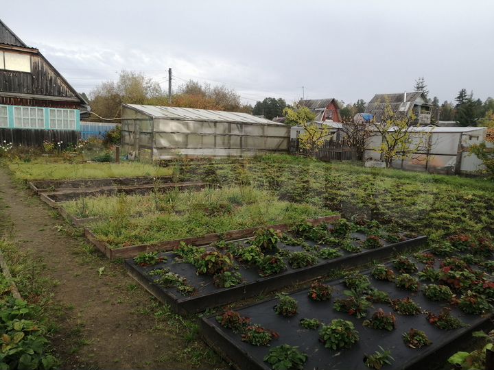 Дача 25 м² на участке 5,9 сот.