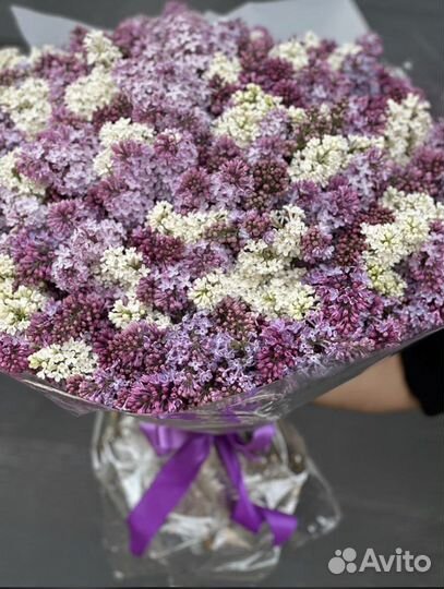 Букеты Сирени с доставкой