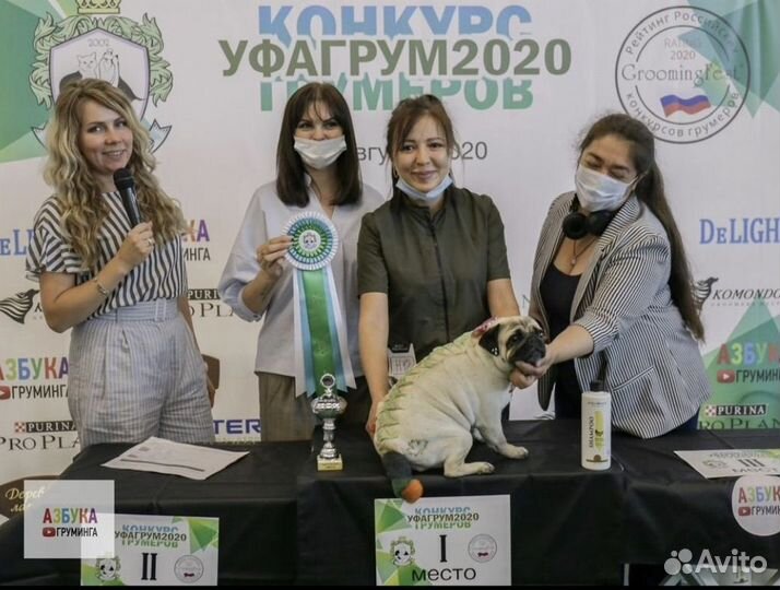 Груминг собак