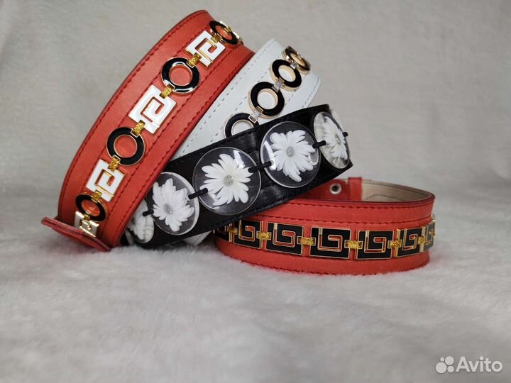 Ошейник на заказ для собак и других животных (экск