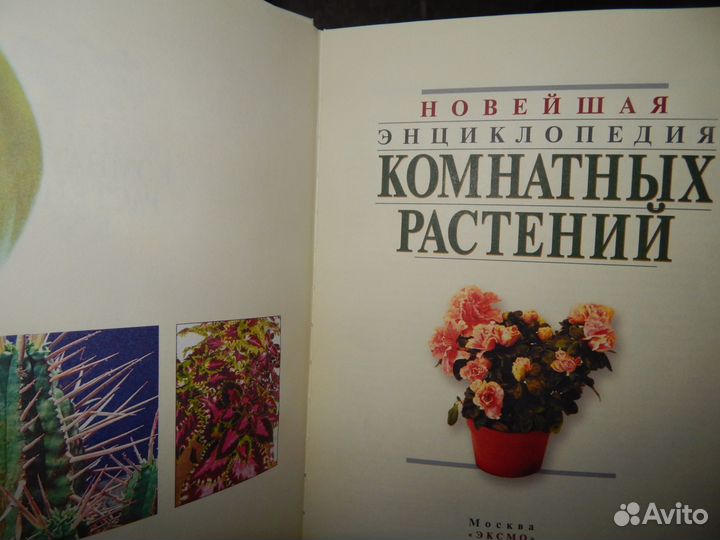 Новейшая энциклопедия комнатных растений