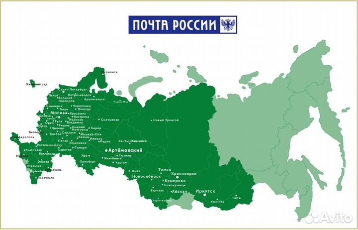 Роза чайно-гибридная «Мадам Анизет» - саженцы зкс