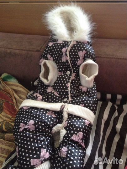 Одежка для собачки