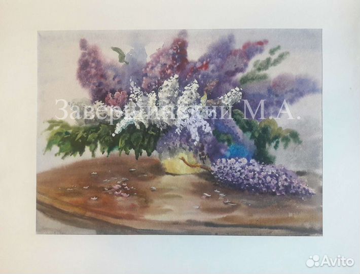 Картины Акварель натюрморты Завершинский М.А