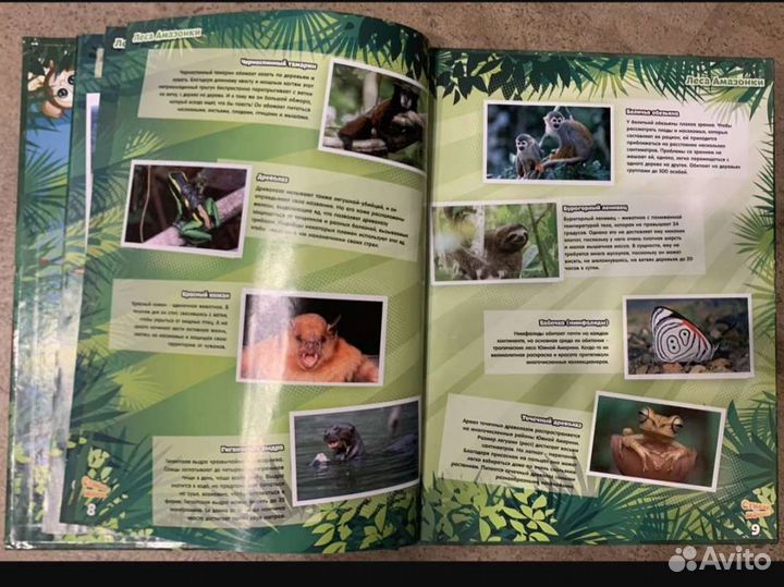 Альбом Стикер мания плюс очки