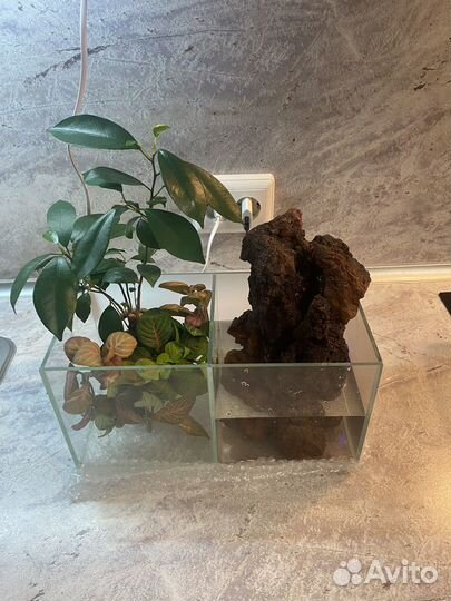 Настольный водопад - флорариум