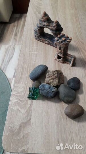 Для аквариума