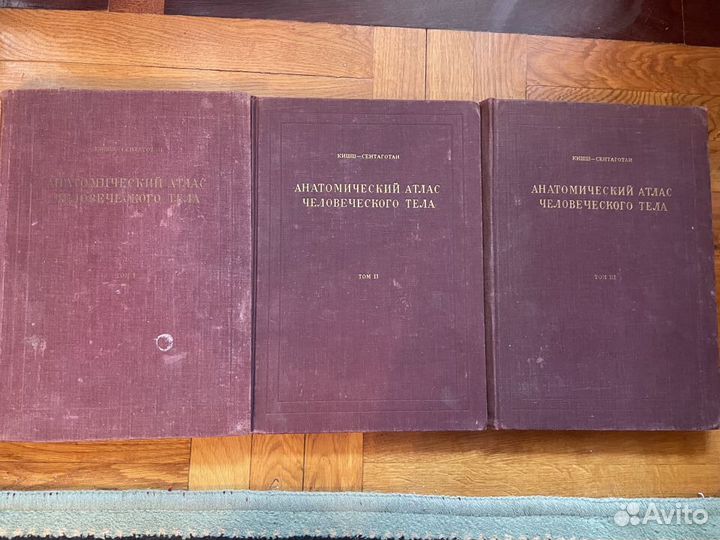 Анатомический атлас Кишш Ф., Сентаготаи Я